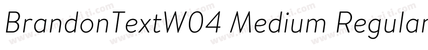 BrandonTextW04 Medium Regular字体转换